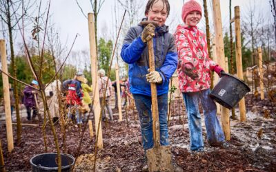 Wir pflanzen einen Tiny Forest