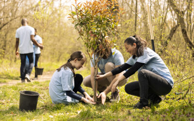 Wir pflanzen einen Tiny Forest
