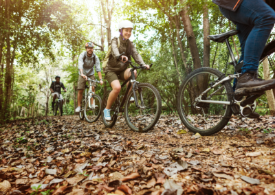 Mit dem Rad in den Wald – Den Wald klimagesund erfahren