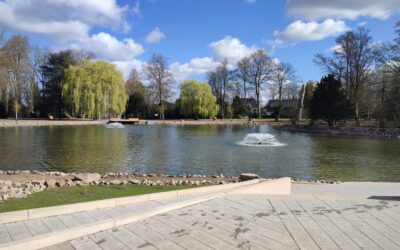 Der Teich im Stadtgarten